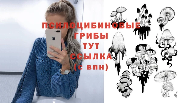 мет Гусь-Хрустальный